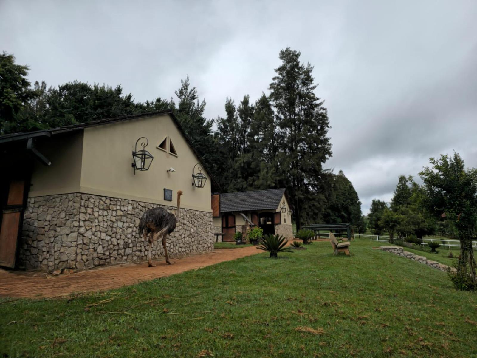 Silver Mist Resort Haenertsburg Exterior photo